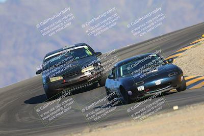 media/Oct-14-2023-Lucky Dog Racing (Sat) [[cef75db616]]/Turn 12 (345pm)/